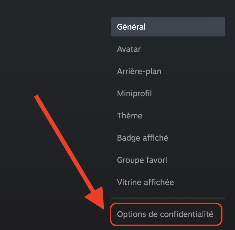 Options de confidentialité Steam
