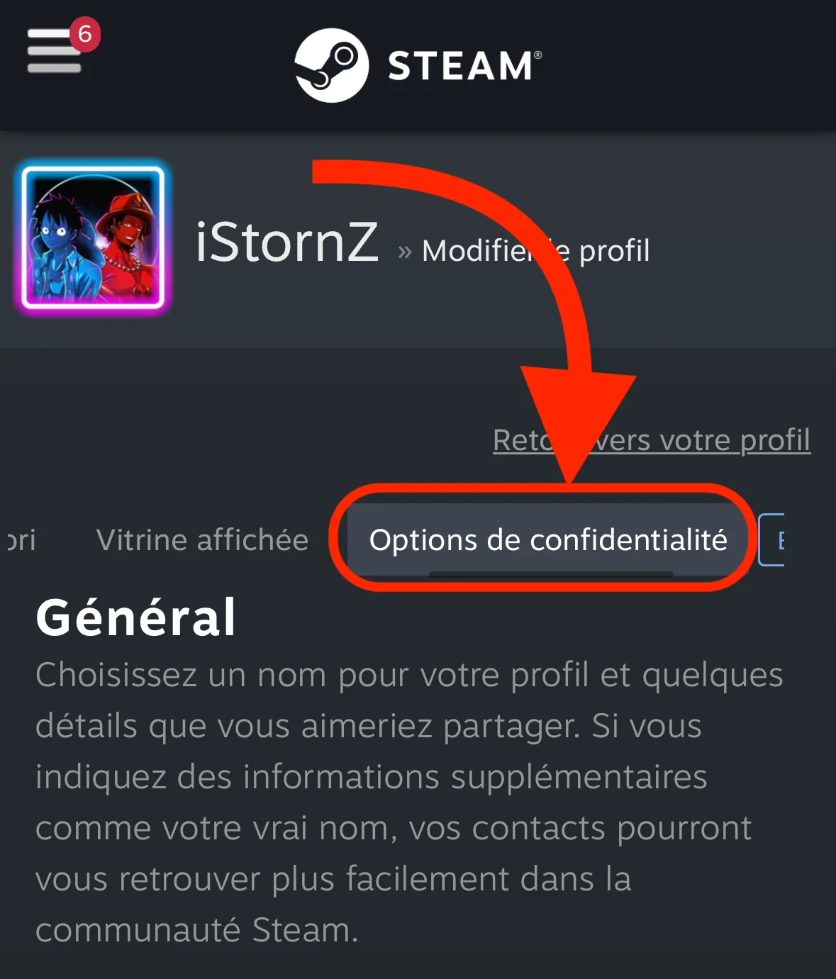 Options de confidentialité Steam mobile