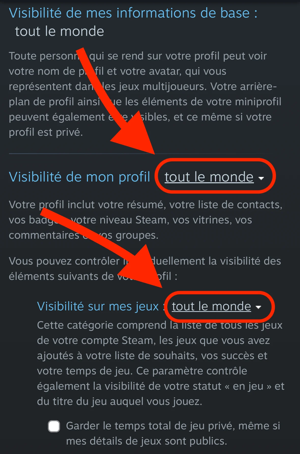 Paramètres de visibilité Steam mobile